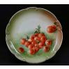 Dekoracyjny i stary talerz porcelana grupy Rosenthal